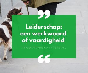 LEIDERSCHAP EEN WERKWOORD OF EEN VAARDIGHEID